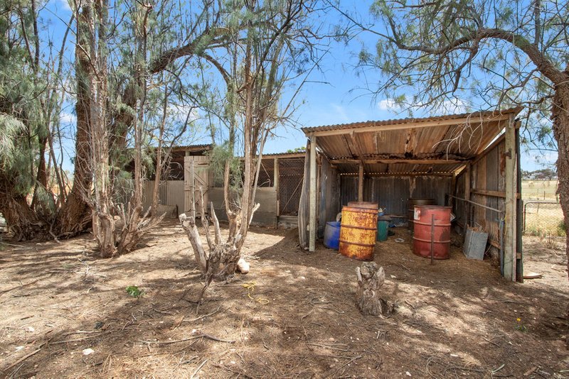 Photo - 12749 Spencer Highway, Moonta SA 5558 - Image 17