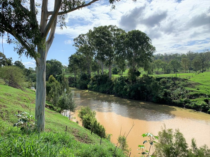 Photo - 128 Barney Gordon Vc Road, Beaudesert QLD 4285 - Image 14