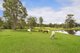 Photo - 128 Grose River Road, Grose Wold NSW 2753 - Image 1