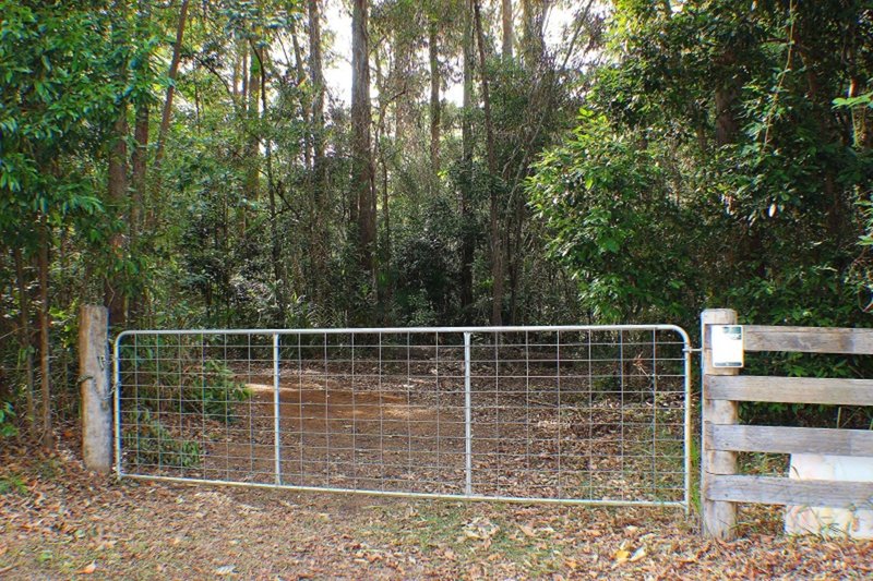 Photo - 128 Kildeys Road, Cootharaba QLD 4565 - Image 4