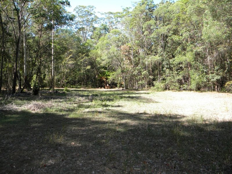 Photo - 128 Kildeys Road, Cootharaba QLD 4565 - Image 7