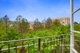 Photo - 12/8 Wellington Crescent, East Melbourne VIC 3002 - Image 6
