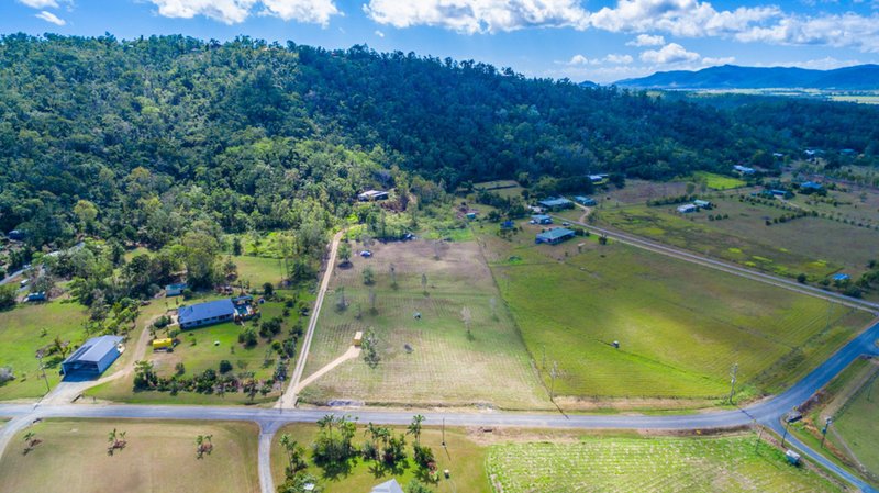 Photo - 128 Wrights Road, Strathdickie QLD 4800 - Image 6