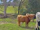 Photo - 1282 Waukivory Road, Waukivory Via , Gloucester NSW 2422 - Image 27