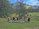 Photo - 1282 Waukivory Road, Waukivory Via , Gloucester NSW 2422 - Image 29
