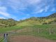 Photo - 1282 Waukivory Road, Waukivory Via , Gloucester NSW 2422 - Image 31