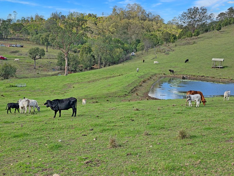Photo - 1282 Waukivory Road, Waukivory Via , Gloucester NSW 2422 - Image 32