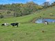 Photo - 1282 Waukivory Road, Waukivory Via , Gloucester NSW 2422 - Image 32