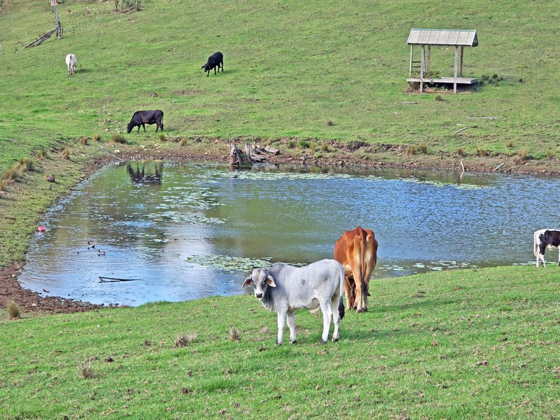 Photo - 1282 Waukivory Road, Waukivory Via , Gloucester NSW 2422 - Image 33