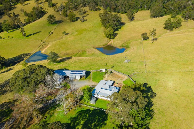 Photo - 1283 Comboyne Road, Byabarra NSW 2446 - Image 19