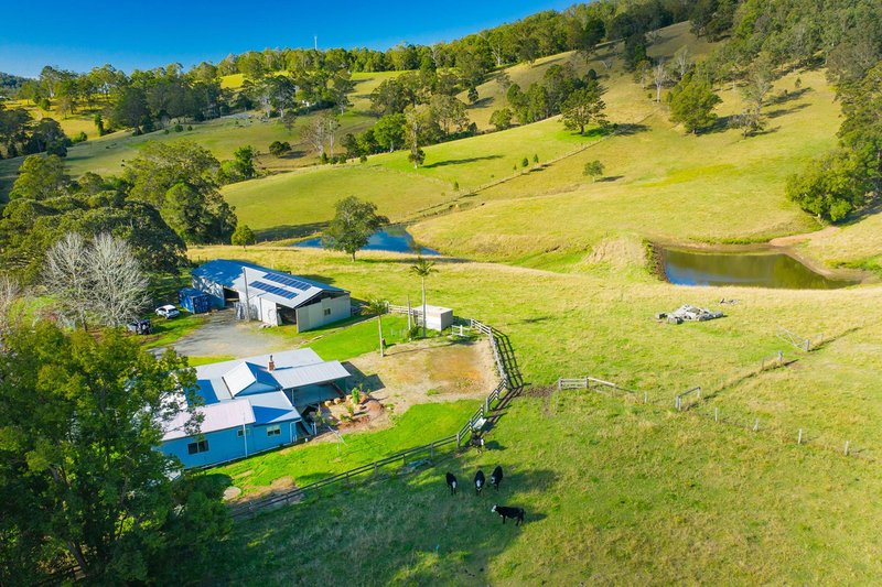 Photo - 1283 Comboyne Road, Byabarra NSW 2446 - Image 20