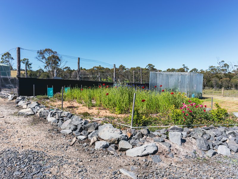 Photo - 1284 North Ansons Road, Ansons Bay TAS 7264 - Image 21