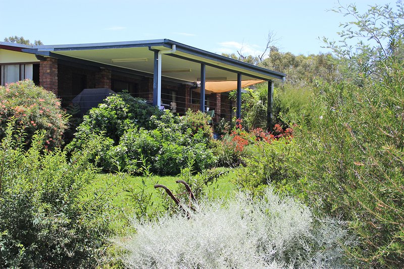 Photo - 1287 Timor Road, Coonabarabran NSW 2357 - Image 10