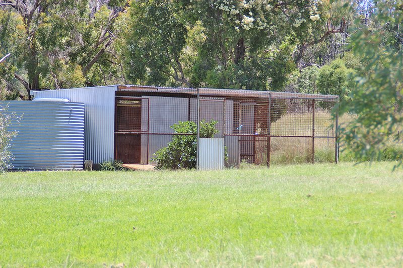 Photo - 1287 Timor Road, Coonabarabran NSW 2357 - Image 16