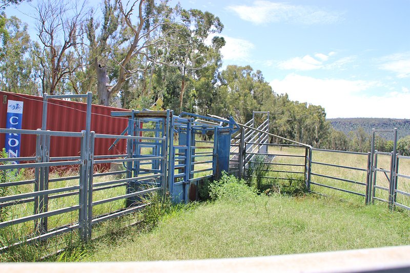 Photo - 1287 Timor Road, Coonabarabran NSW 2357 - Image 18