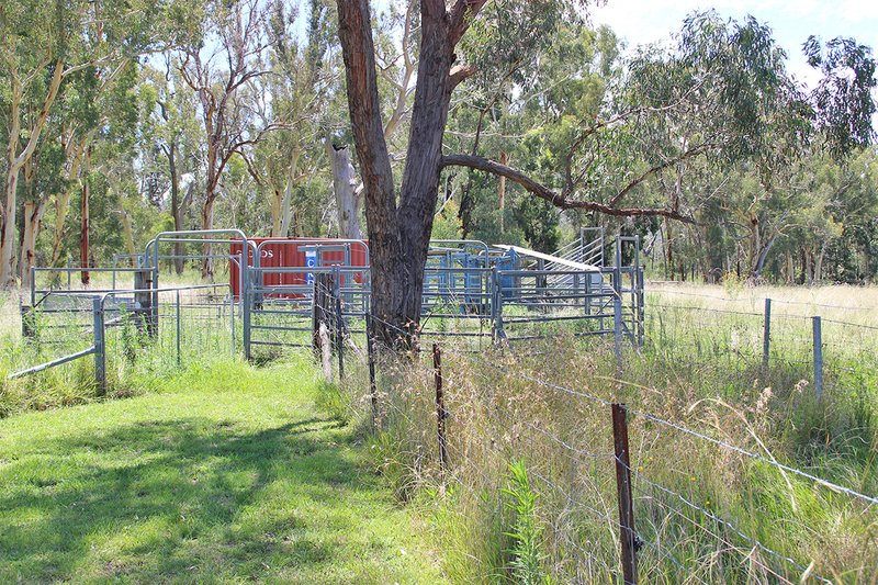 Photo - 1287 Timor Road, Coonabarabran NSW 2357 - Image 19