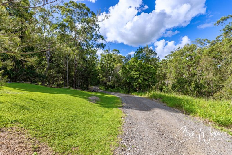 Photo - 129 Bloodwood Court, Wamuran QLD 4512 - Image 20