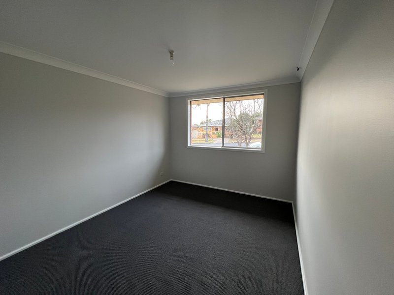 Photo - 129 Hillvue Road, Tamworth NSW 2340 - Image 4