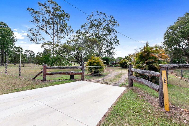 Photo - 129 Moorabinda Drive, Sunshine Acres QLD 4655 - Image 4