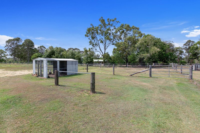 Photo - 129 Moorabinda Drive, Sunshine Acres QLD 4655 - Image 24