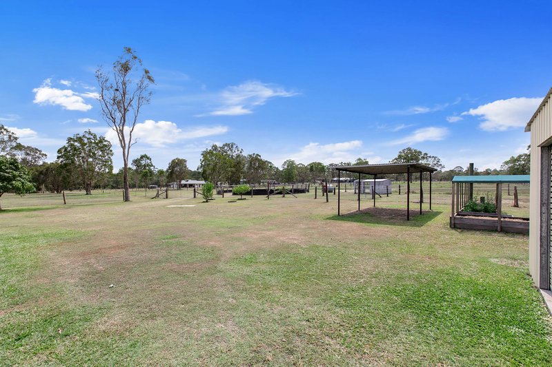 Photo - 129 Moorabinda Drive, Sunshine Acres QLD 4655 - Image 26