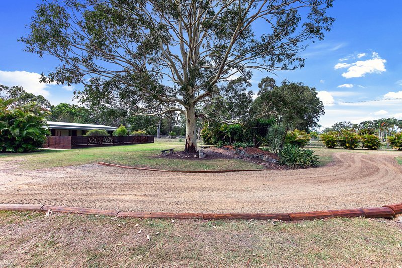 Photo - 129 Moorabinda Drive, Sunshine Acres QLD 4655 - Image 30