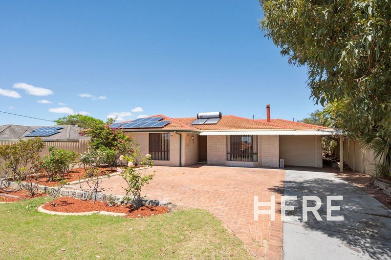 Photo - 129 Warrandyte Drive, Craigie WA 6025 - Image 1