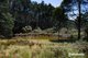 Photo - 12984 Highland Lakes Road, Golden Valley TAS 7304 - Image 4