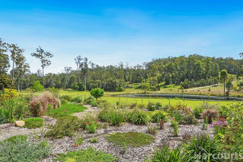 Photo - 12A Amber Way, Kundabung NSW 2441 - Image 32