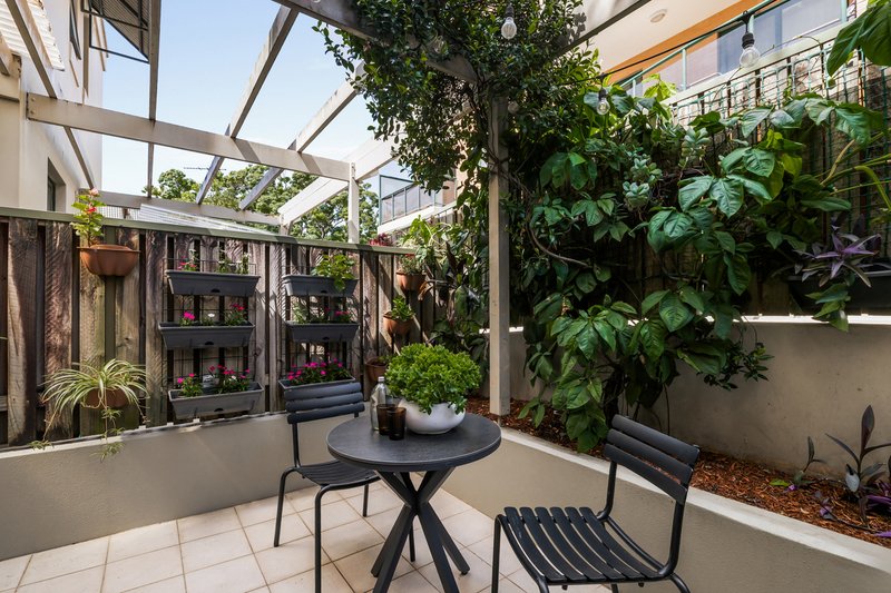 Photo - 12A Jarrett Street, Leichhardt NSW 2040 - Image 12