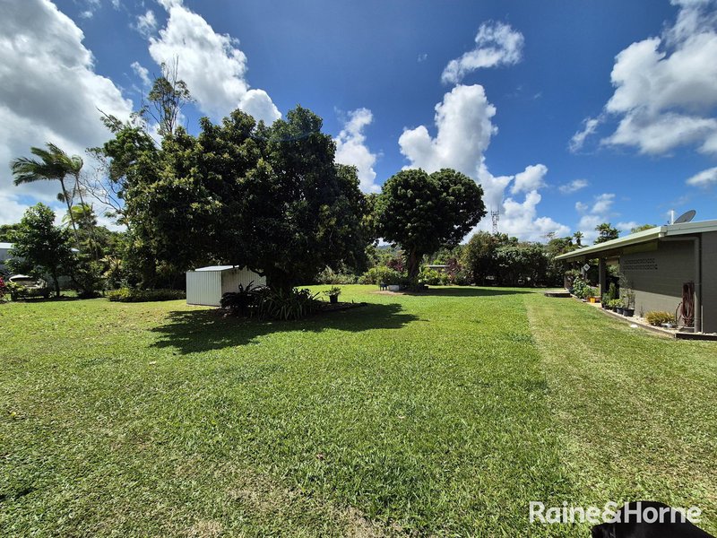 Photo - 13-15 Osborne Street, Daintree QLD 4873 - Image 21