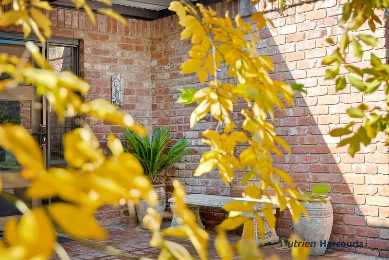 Photo - 13 Albert Street, Alexandra VIC 3714 - Image 3