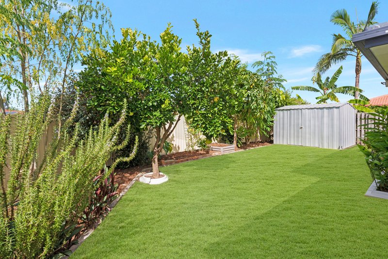 Photo - 13 Ardent Street, Upper Coomera QLD 4209 - Image 16