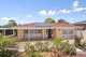 Photo - 13 Bendigo Crescent, Modbury SA 5092 - Image 1