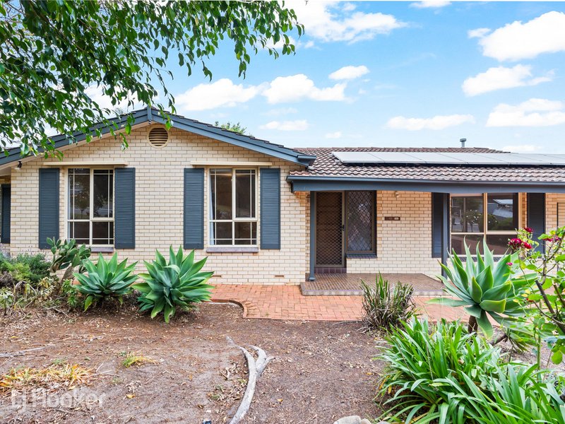 13 Buckley Crescent, Fairview Park SA 5126