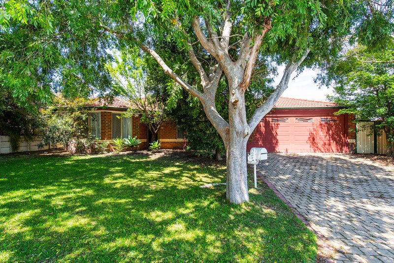 13 Calilly Way, Baldivis WA 6171