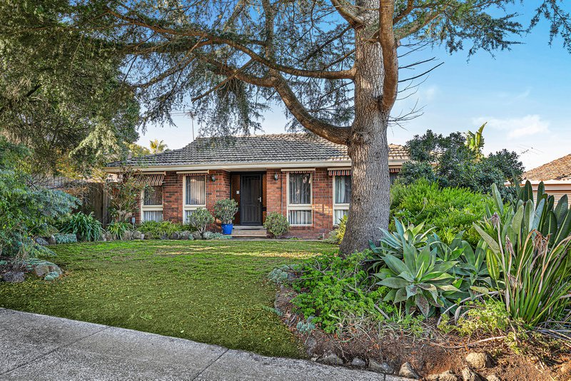 Photo - 13 Cicada Court, Mulgrave VIC 3170 - Image 3