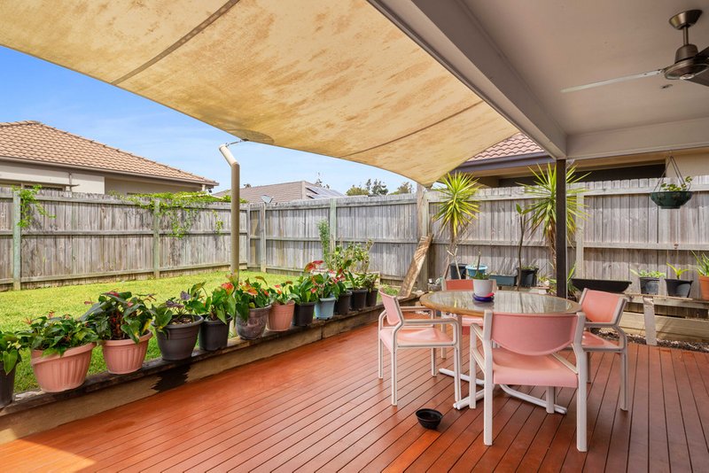 Photo - 13 Clarence Place, Sippy Downs QLD 4556 - Image 6
