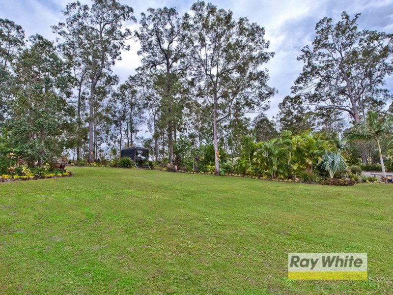 Photo - 13 Endwood Court, Highvale QLD 4520 - Image 5