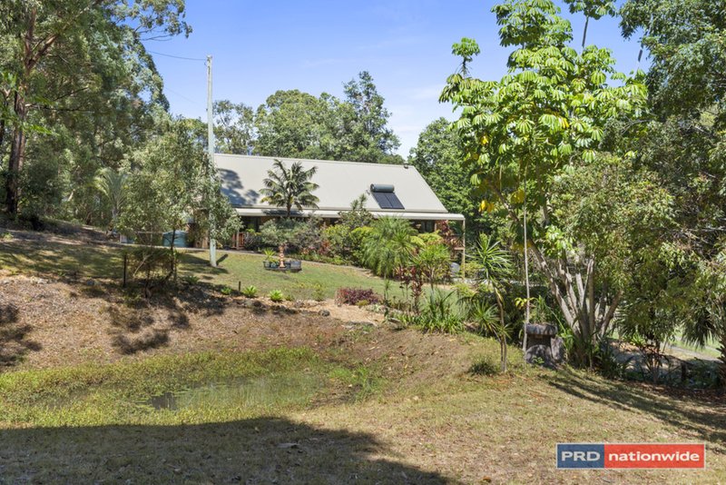 Photo - 13 Forest Close, Boambee NSW 2450 - Image 4