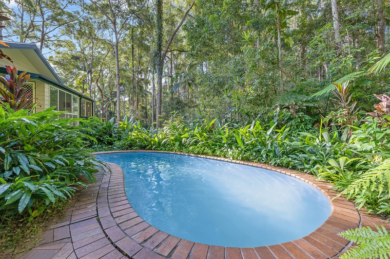 Photo - 13 Forest View Court, Forest Glen QLD 4556 - Image 3