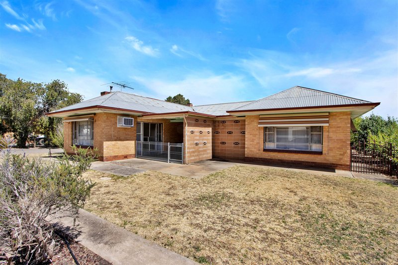 13 Francis Street East , Nuriootpa SA 5355