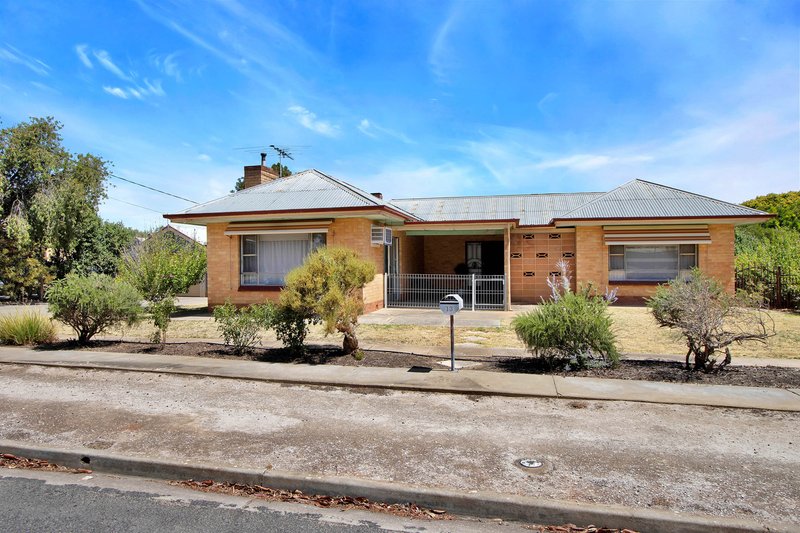 Photo - 13 Francis Street East , Nuriootpa SA 5355 - Image 3