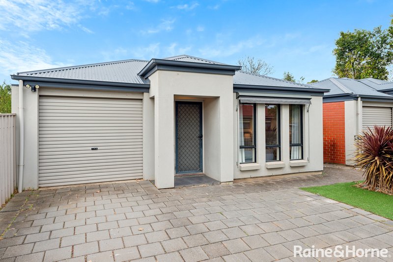 Photo - 13 Glamis Avenue, Seacombe Gardens SA 5047 - Image 2