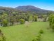 Photo - 13 Glenock Road, Uki NSW 2484 - Image 7