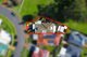 Photo - 13 Glenview Grove, Glendenning NSW 2761 - Image 9
