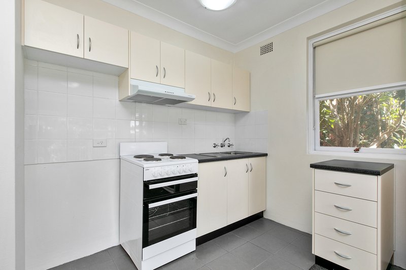 Photo - 13 Grafton Crescent, Dee Why NSW 2099 - Image 25