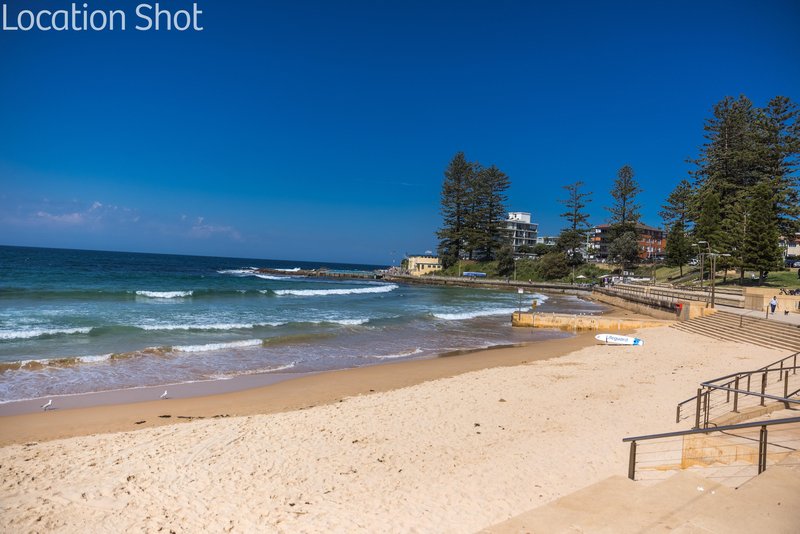 Photo - 13 Grafton Crescent, Dee Why NSW 2099 - Image 33