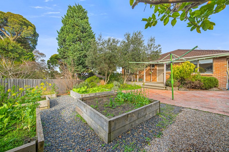 Photo - 13 Great Western Drive, Vermont South VIC 3133 - Image 11