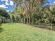 Photo - 13 Grove Creek Close, Reedy Creek QLD 4227 - Image 5